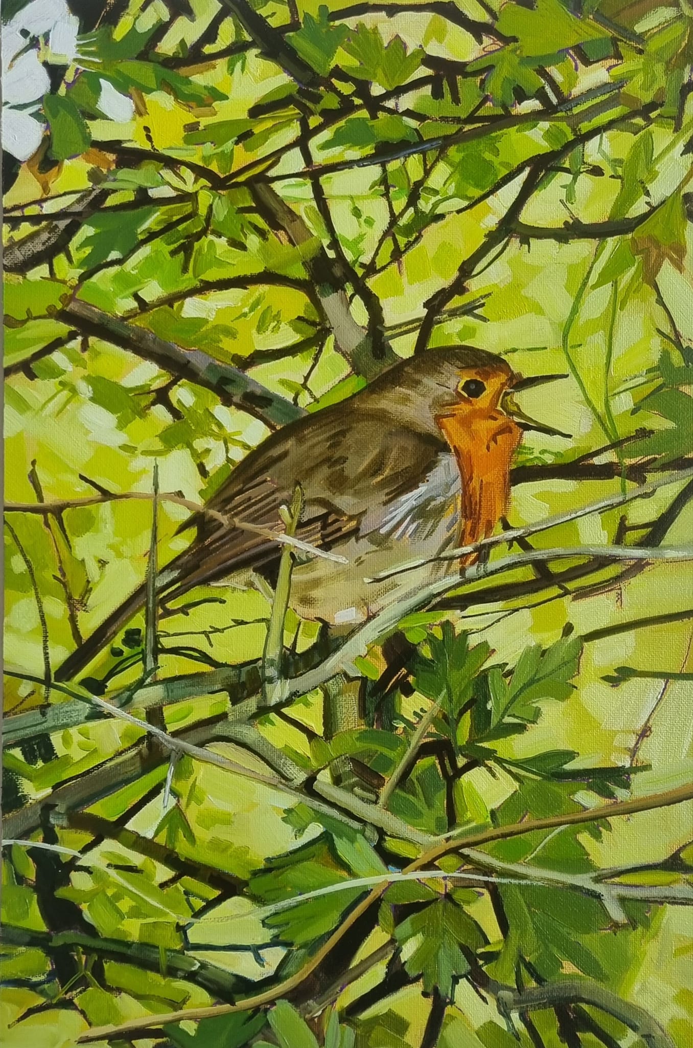 Hawthorn Harmony - Limited Edition Print – Olive Stack Gallery